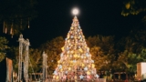 Luces de Navidad inteligentes: controla tu árbol desde el móvil